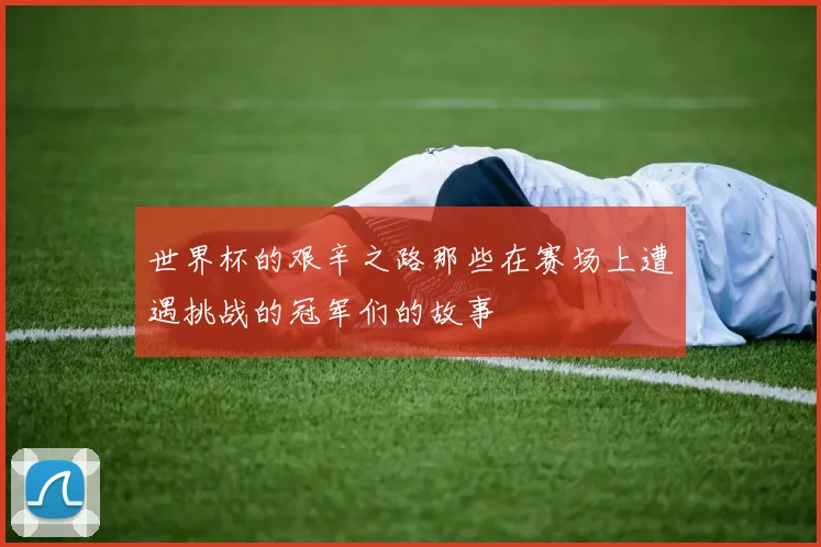 世界杯的艰辛之路那些在赛场上遭遇挑战的冠军们的故事