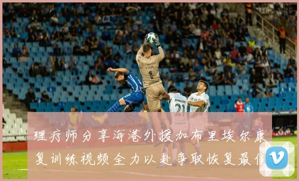 理疗师分享海港外援加布里埃尔康复训练视频全力以赴争取恢复最佳状态