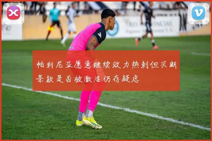帕利尼亚愿意继续效力热刺但买断条款是否被激活仍存疑虑